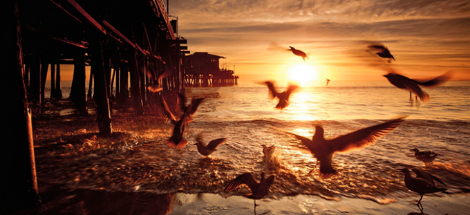 Creation Site Web Paris