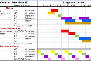plan d'action marketing exemple