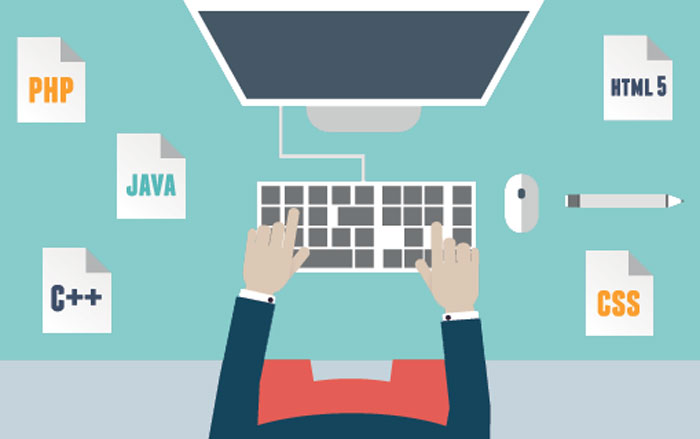 Site Web Professionnel