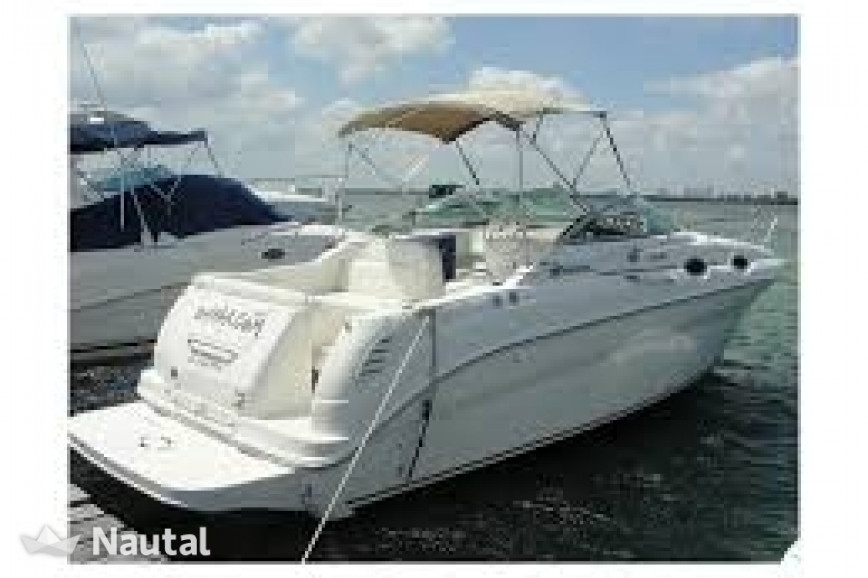 sea of thieves forum