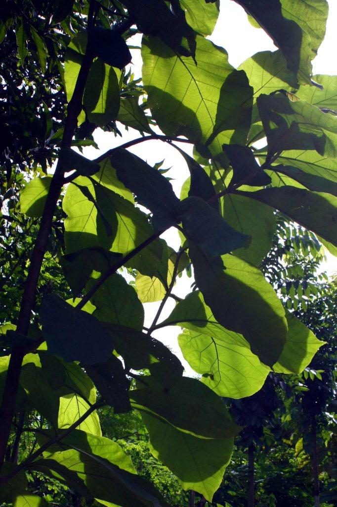 créer un site google gratuit